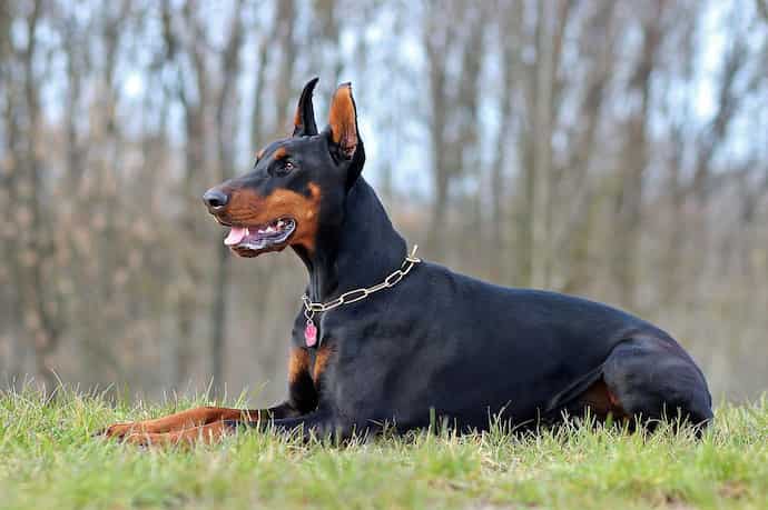 橋岡優輝イケメン画像と彼女